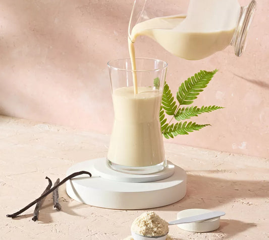 Protein Drink Mix-Vegan Vanilla Flavoured